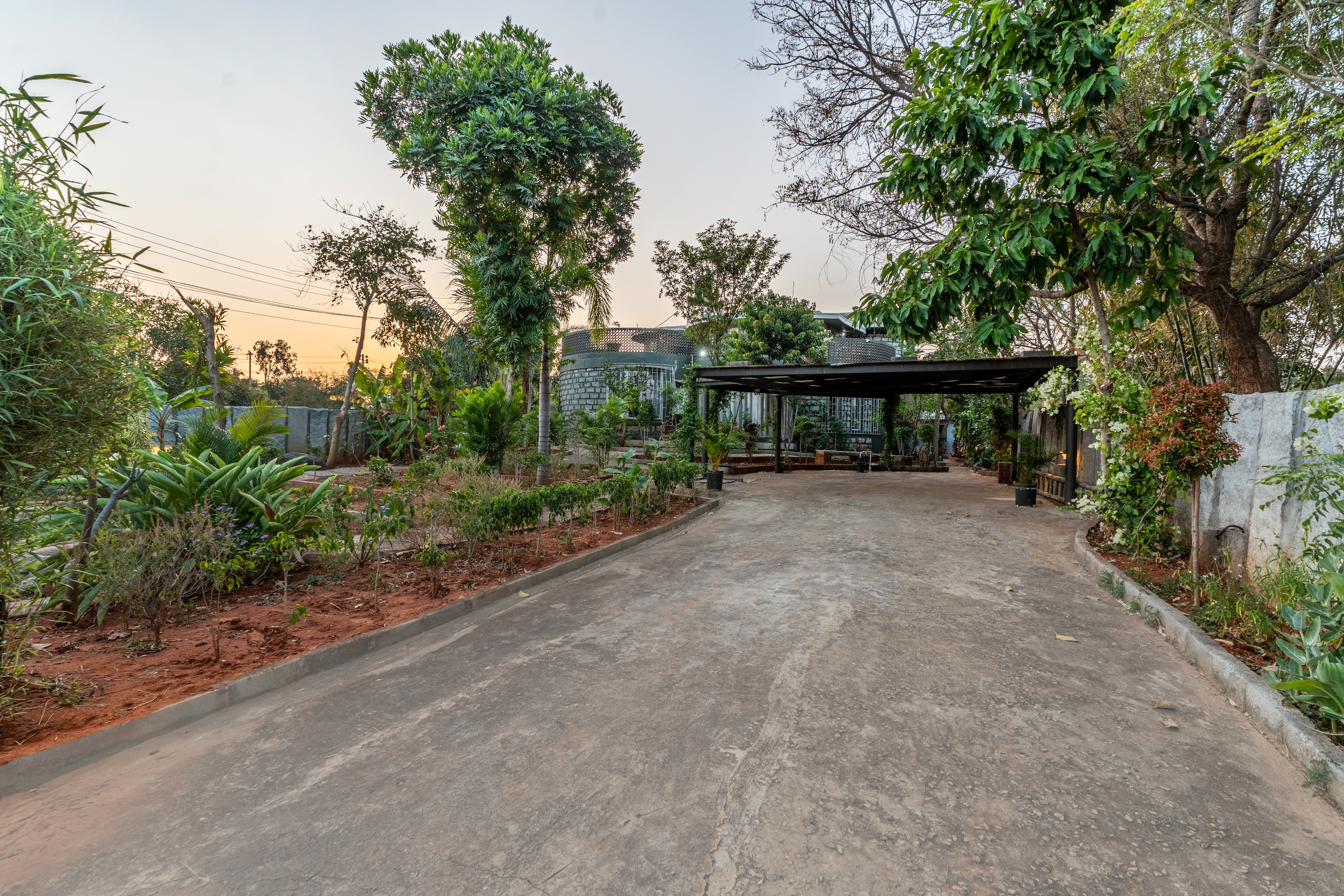 Driveway approach at golden hour with warm light through the trees